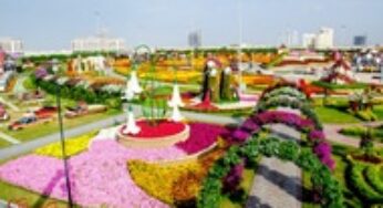 Visit Dubai Miracle Garden